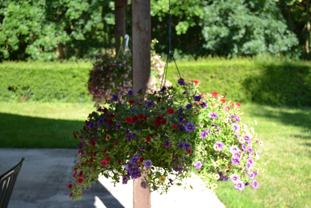 Le Moulin De Lusseau Bed and Breakfast Chef-Boutonne Esterno foto