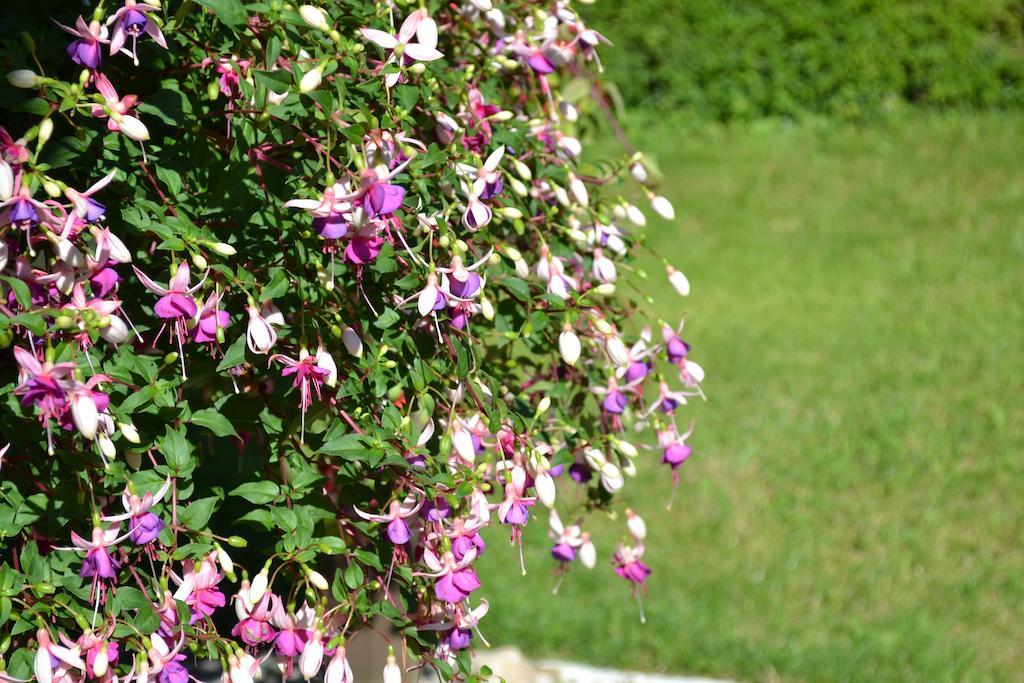 Le Moulin De Lusseau Bed and Breakfast Chef-Boutonne Esterno foto
